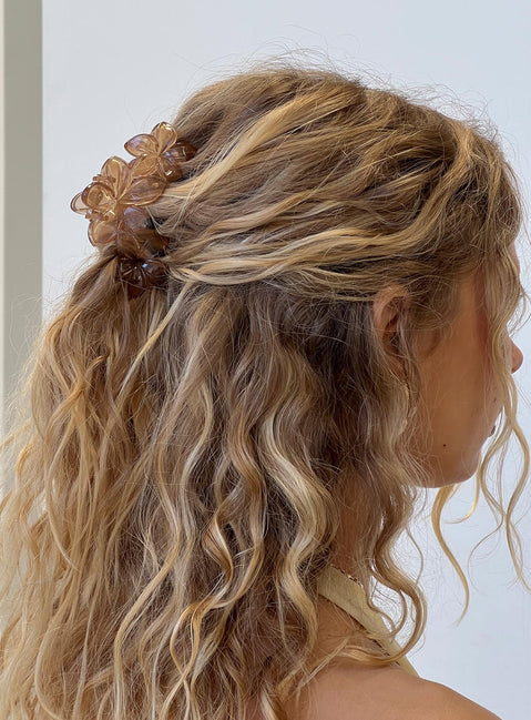 Radiant Beam Floral Hair Clip Brown