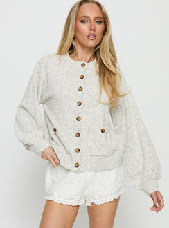 front view of model wearing Princess Polly Dorah Boxy Cardigan Grey Cropped Jumpers 