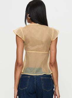 back view of model wearing Princess Polly Keysia Cap Sleeve Sheer Top Apricot Short Sleeves Plunger 