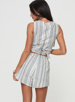 back view of model wearing Princess Polly Flutters Shorts White / Blue Stripe High Waisted Shorts 