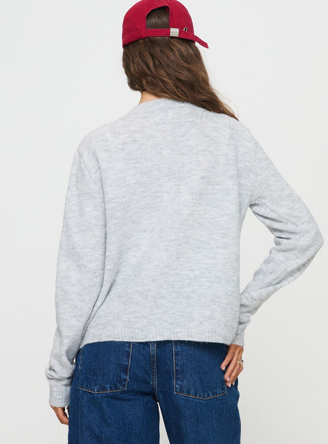 back view of model wearing Princess Polly Denmark Cardigan Grey Long 
