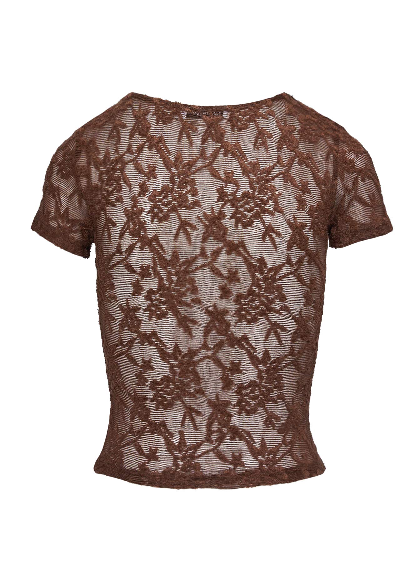back view of model wearing Princess Polly Martine Sheer Short Sleeve Top Brown Short Sleeves Crew Neck 