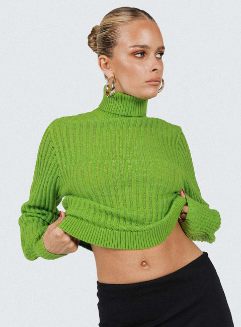 Mckilah Turtleneck Knit Sweater Green Princess Polly  Cropped 