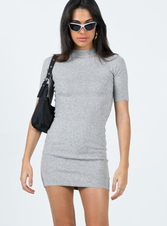 Front view of model wearing  front Princess Polly High Neck  Navine Mini Dress Grey