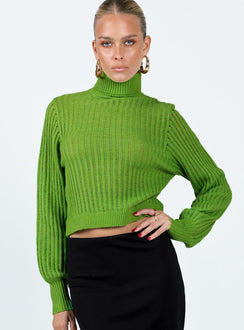 Mckilah Turtleneck Knit Sweater Green Princess Polly  Cropped 