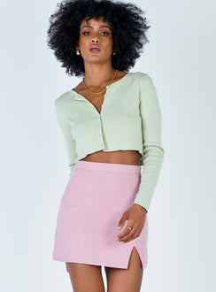   front view of model wearing Princess Polly Kian Mini Skirt 