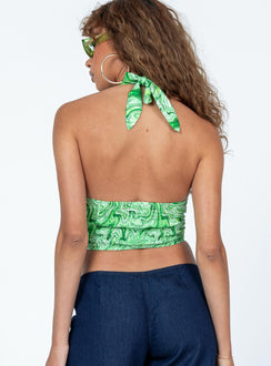 back view of model wearing Princess Polly Clarkefield Top Green Sleeveless Plunger 