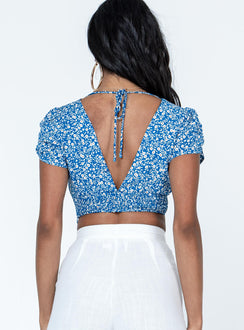 back view of model wearing Princess Polly The Sting Top Blue Short Sleeves V-Neck 