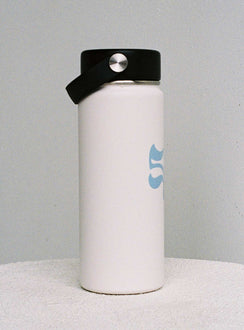 Water bottle Stainless steel design  BPA free Graphic print  Handle lid  Holds 550mL