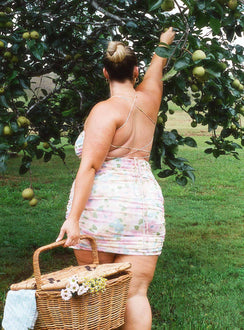 back view of model wearing Princess Polly Hopeless Romantic Mesh Ruched Mini Dress Multi Curve 